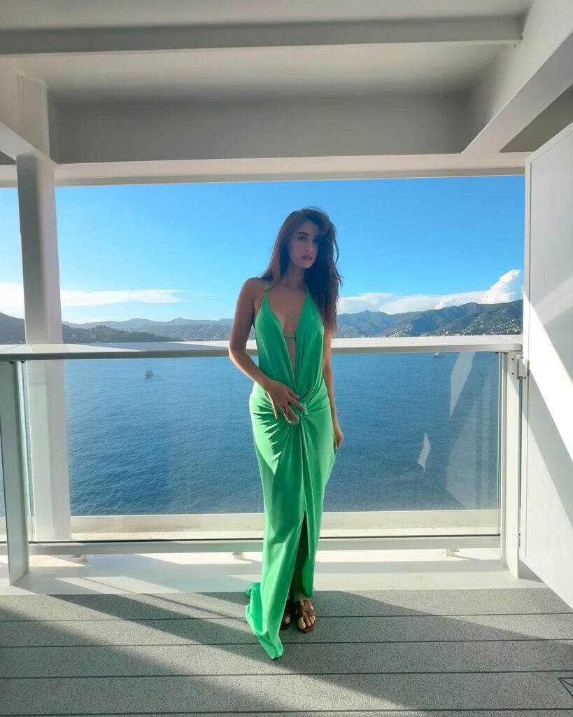 Disha