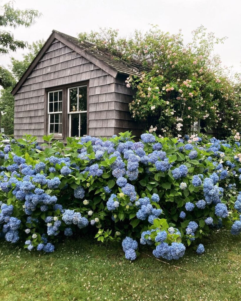 Cottage-Core